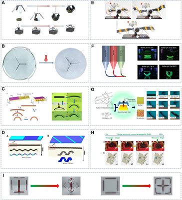 Shape memory polymer-based prefabricated components: Design ideas and prospects